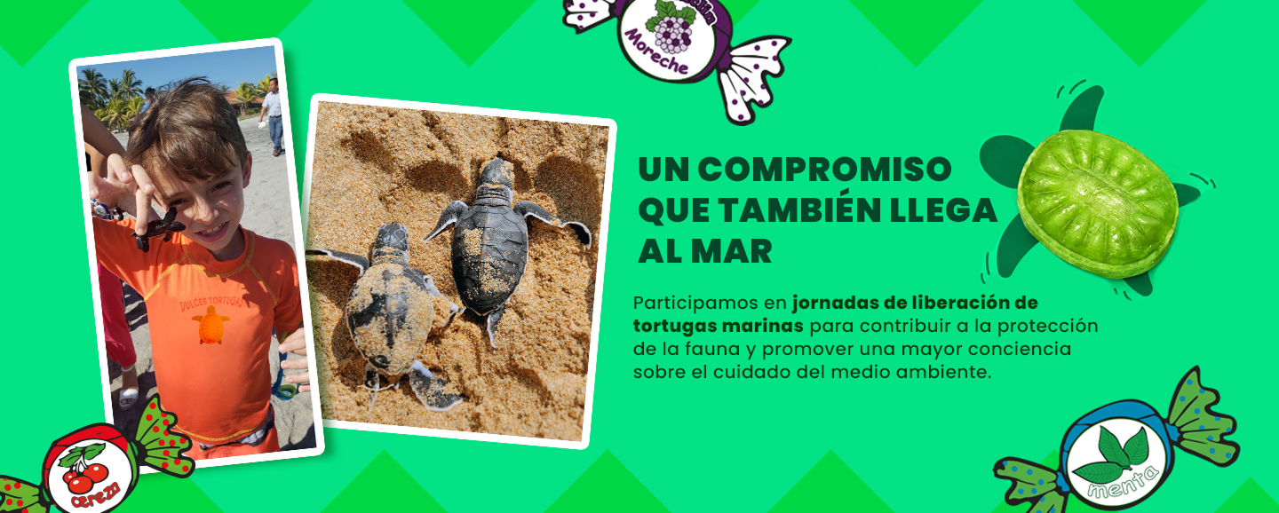 Un compromiso que también llega al mar. Participamos en jornadas de liberación de tortugas marinas para contribuir a la protección de la fauna y promover una mayor conciencia sobre el cuidado del medio ambiente.