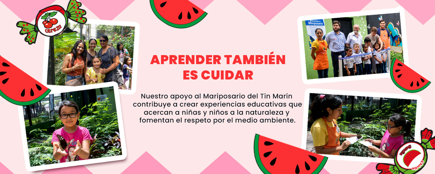 Aprender también es cuidar. Nuestro apoyo al Mariposario del Tin Marín contribuye a crear experiencias educativas que acercan a niñas y niños a la naturaleza y fomentan el respeto por el medio ambiente.