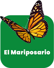 El Mariposario